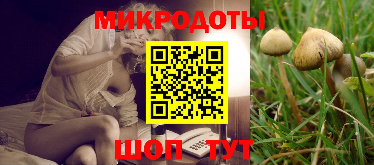 Галлюциногенные грибы мицелий  Псилоцибиновые грибы Psilocybine cubensis  Вход с VPN  Полысаево 